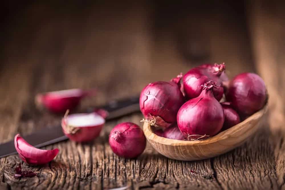 Onion