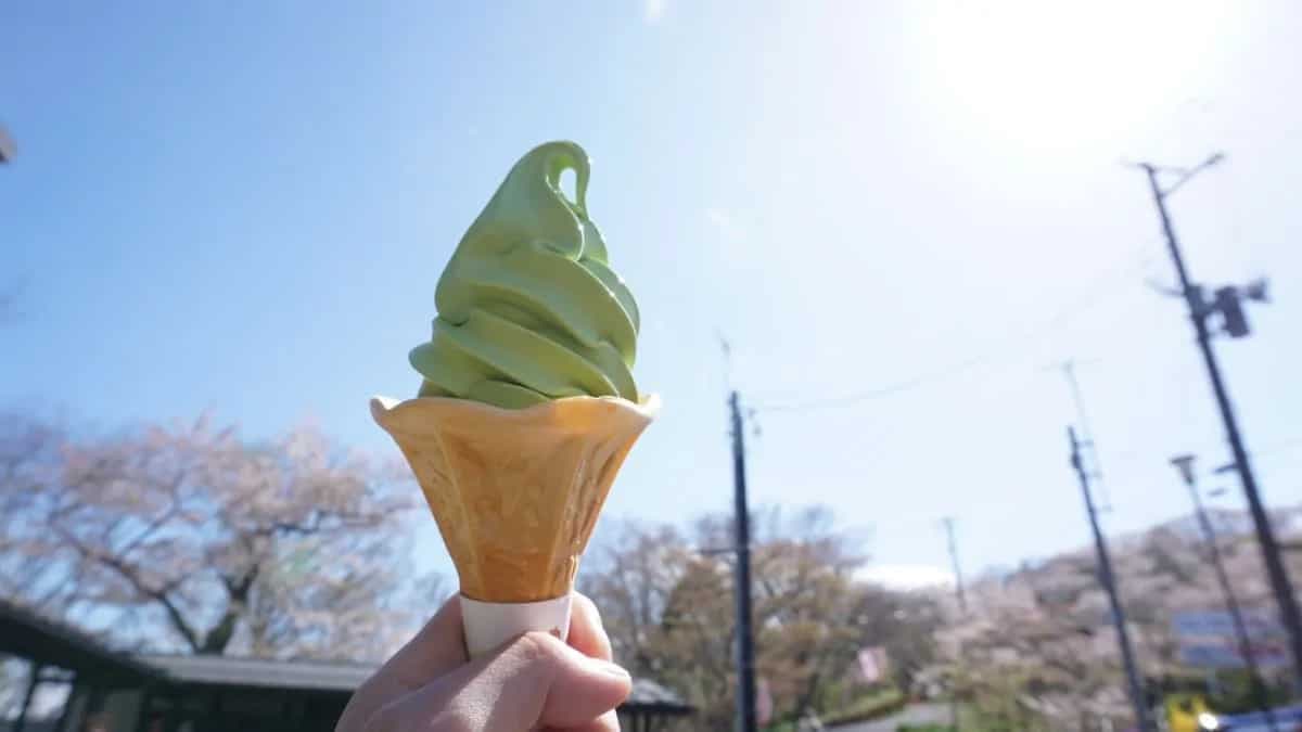 The Ice Cream That Refused to Melt