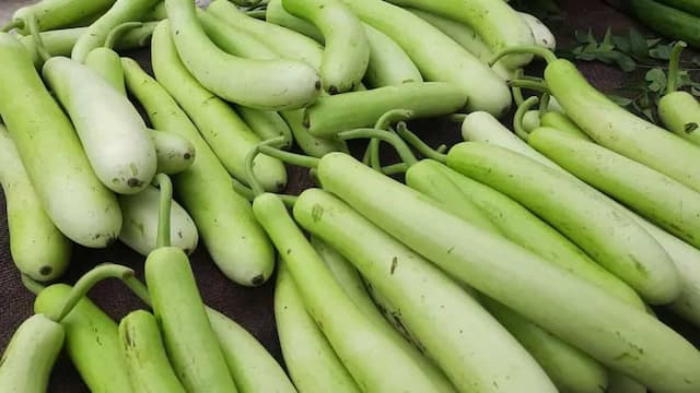 6 Lauki Recipes That Make Boring Bottle Gourd Taste Delicious