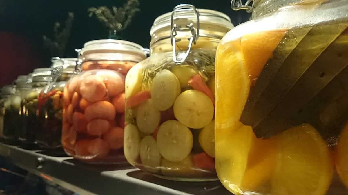 Why Fermented Foods Are Older (& Smarter) Than You Think