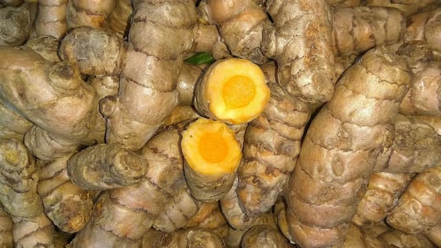 5 Easy Turmeric Root Storage Tips To Keep It Fresh