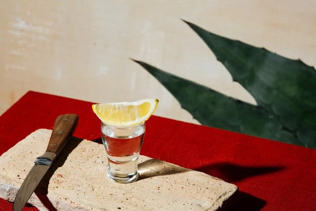 How Filipino Sailors Shaped Mexico’s Drink Of Choice