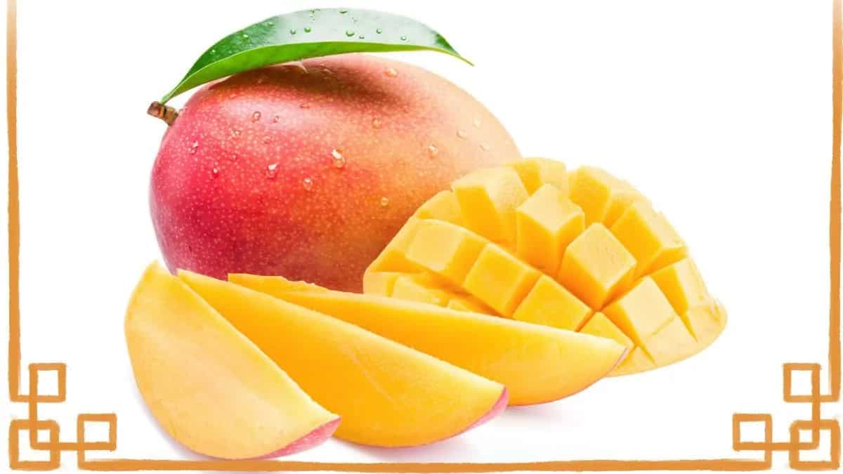 The Story Of Kesar Mangoes: India’s Saffron-Hued Summer Star