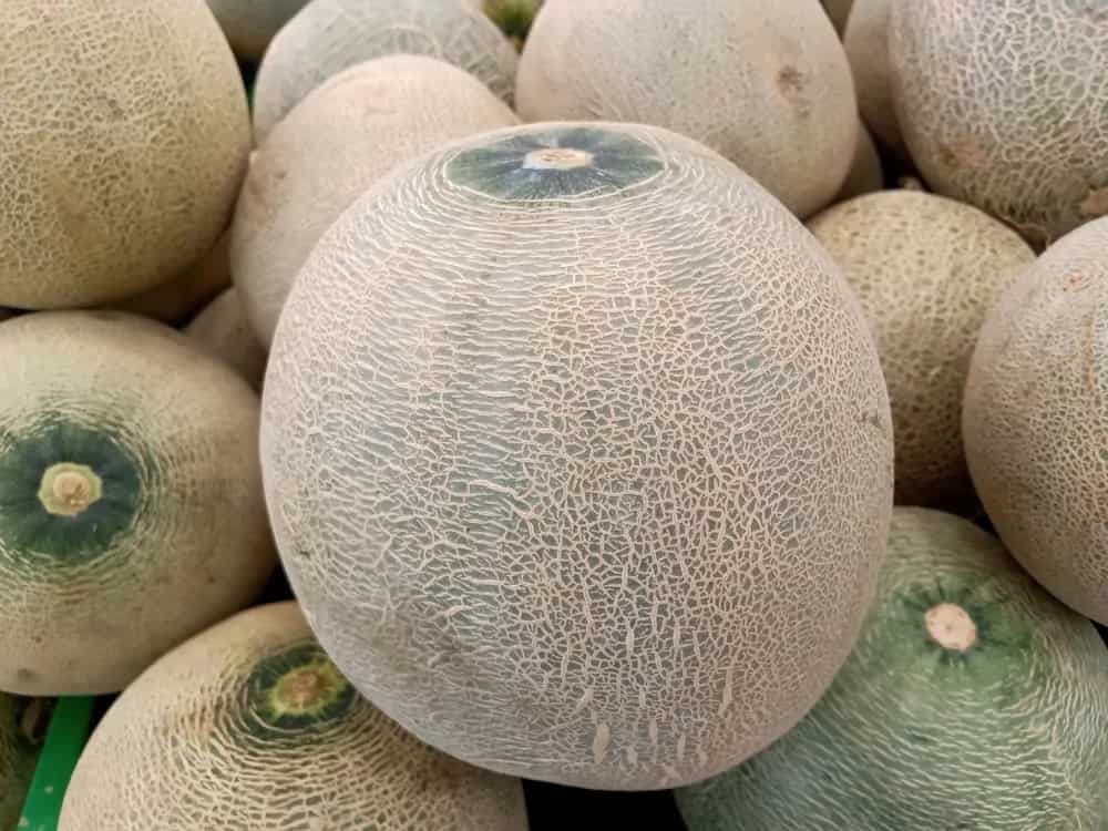 Smell It 