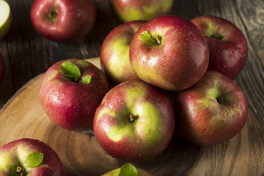 McIntosh Apple 