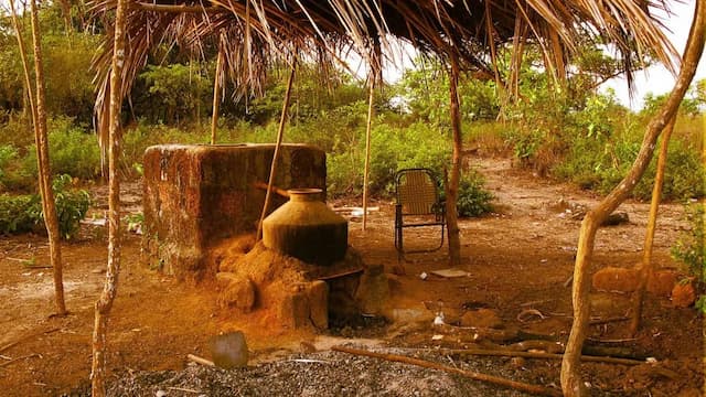Finding Feni: The Traditional Method Of Making Goa's Indigenous Liquor